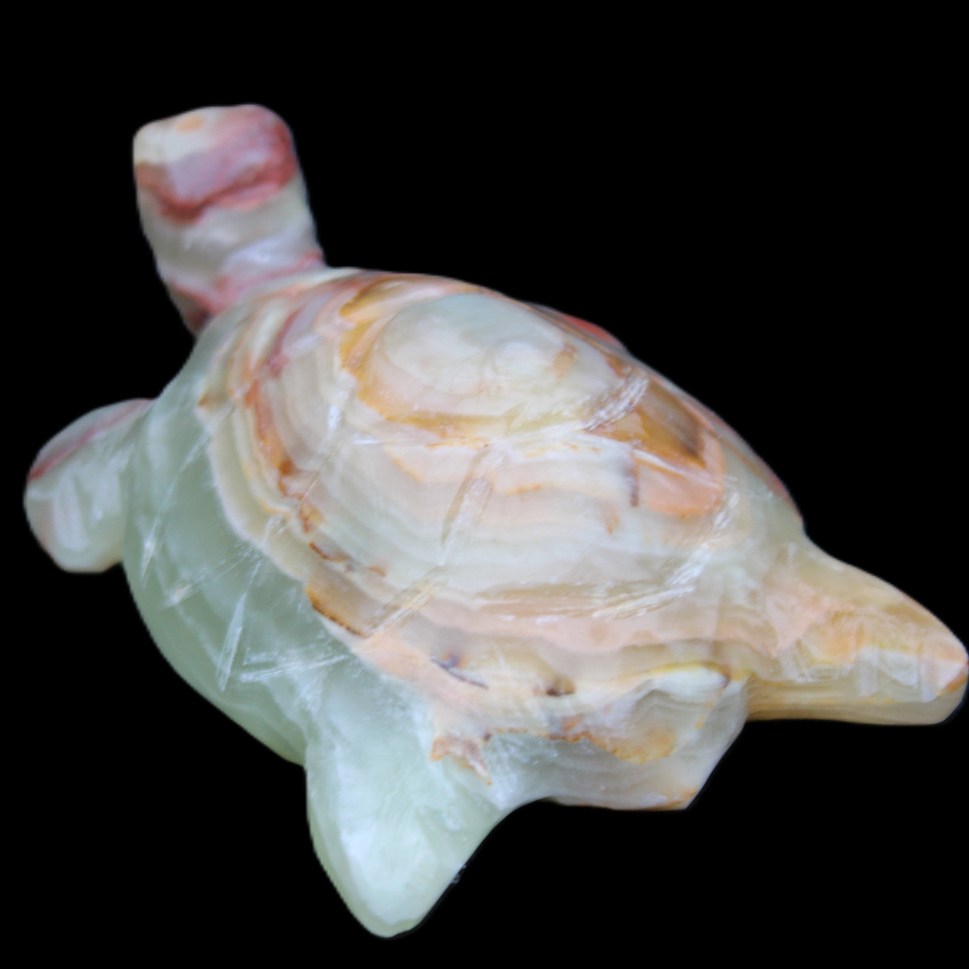 Afghan Jade hand-carved Turtle 100*61*26mm 201g in sunlight - Rocks and Things Store