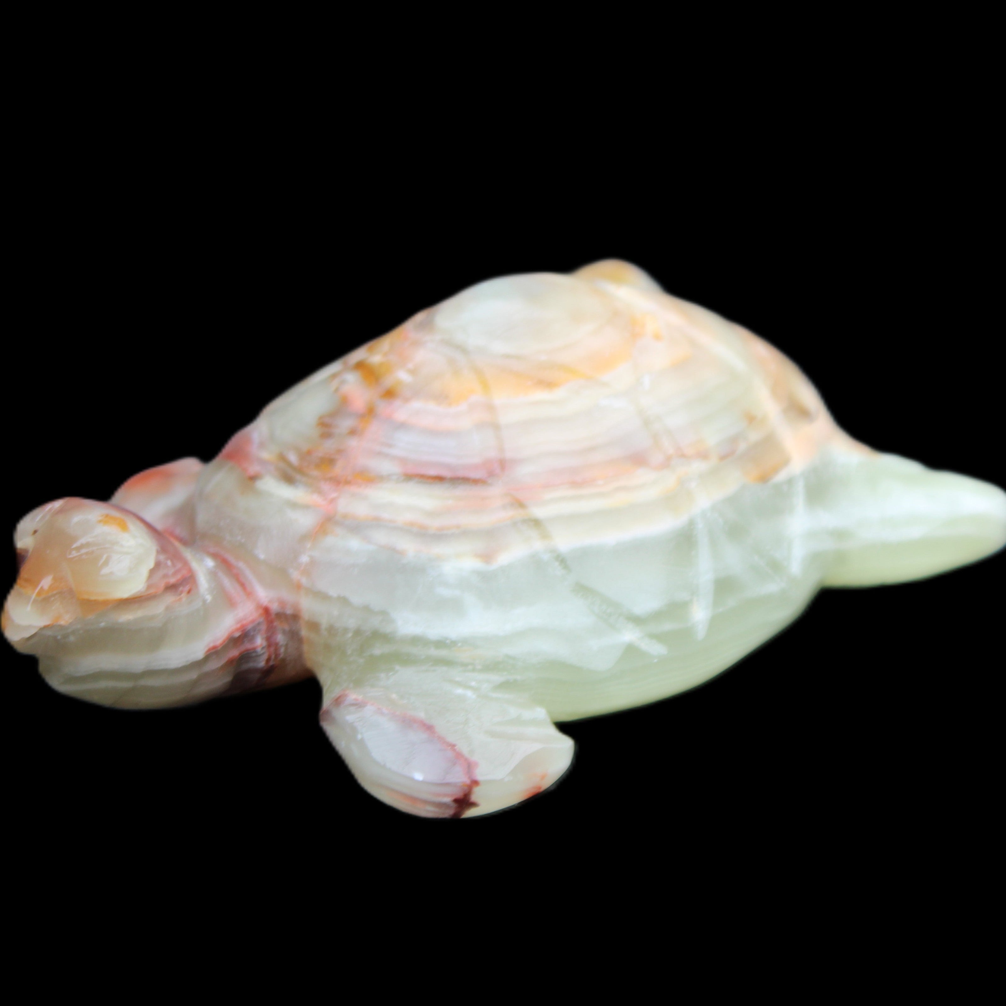 Afghan Jade hand-carved Turtle 100*61*26mm 201g in sunlight - Rocks and Things Store