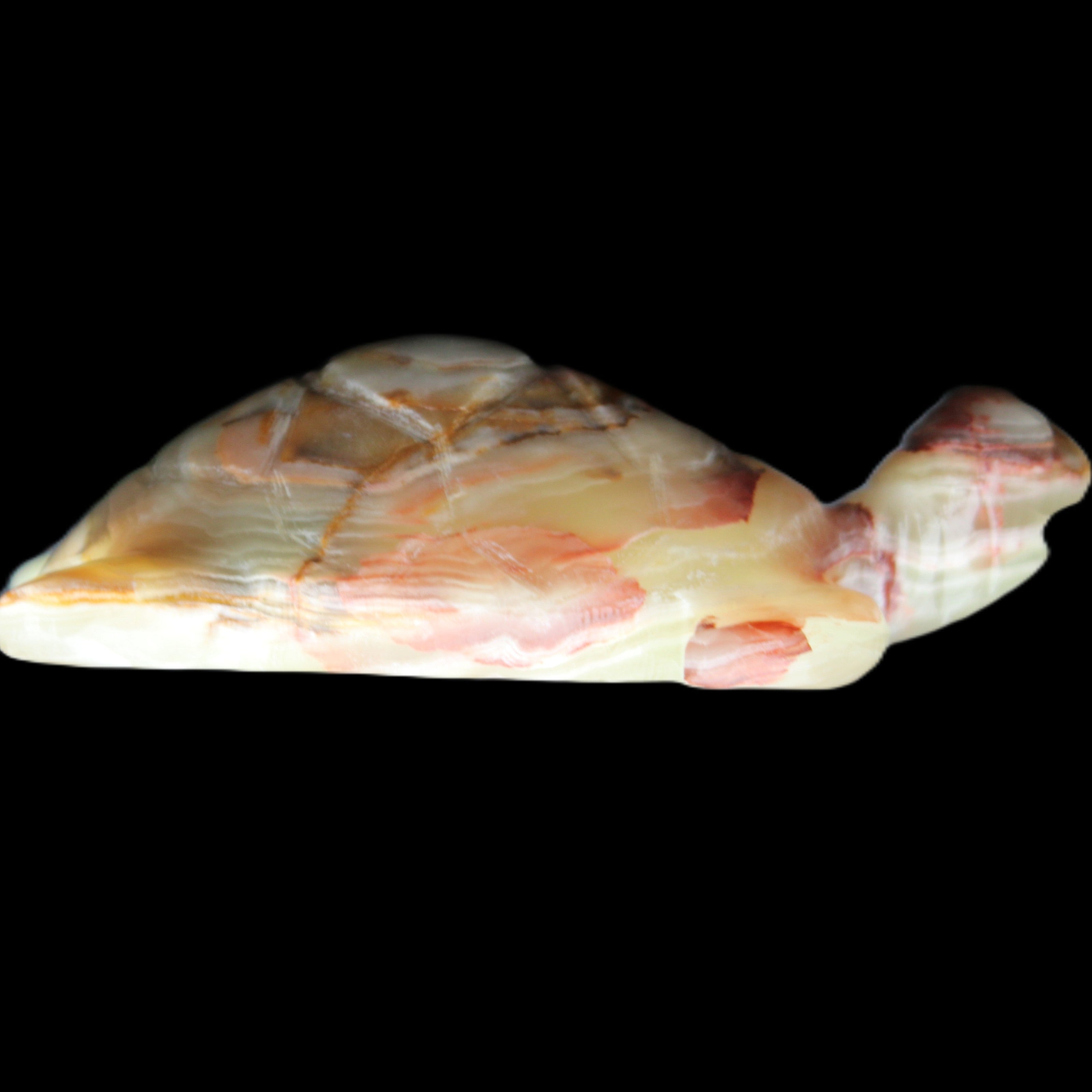Afghan Jade hand-carved Turtle 100*61*26mm 201g in sunlight - Rocks and Things Store