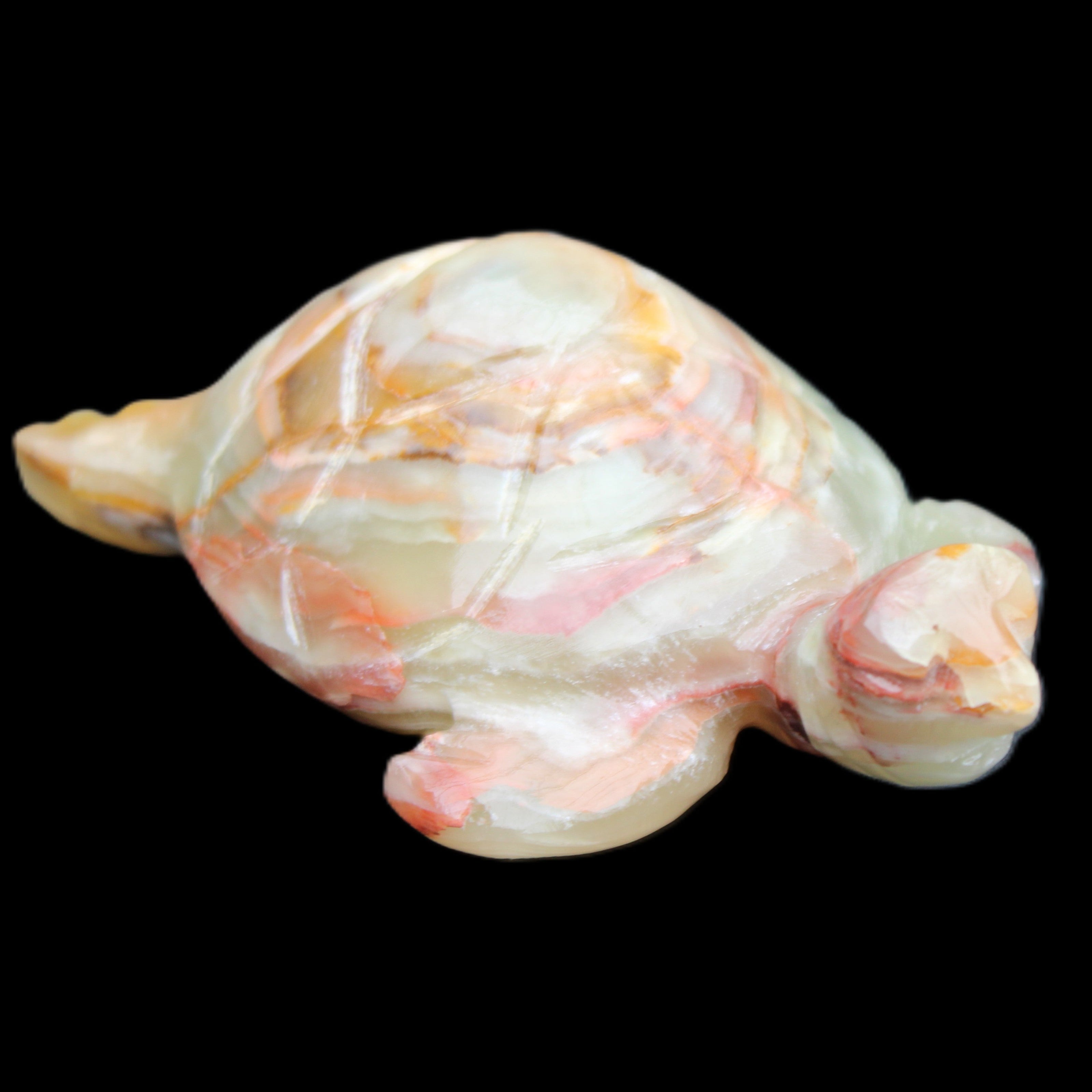 Afghan Jade hand-carved Turtle 100*61*26mm 201g in sunlight - Rocks and Things Store