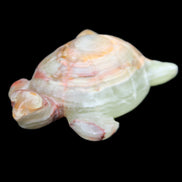 Afghan Jade hand-carved Turtle 100*61*26mm 201g in sunlight - Rocks and Things Store
