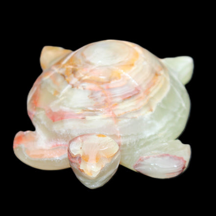 Afghan Jade hand-carved Turtle 100*61*26mm 201g in sunlight - Rocks and Things Store