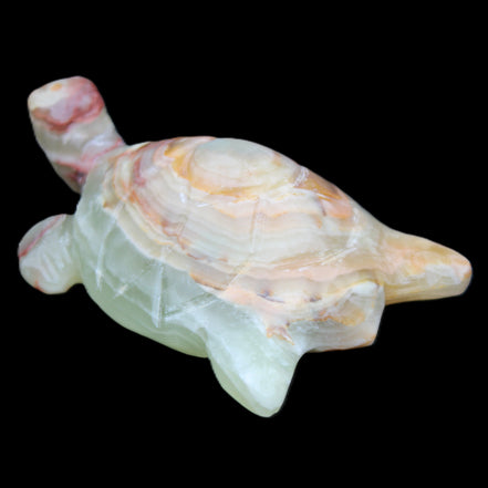 Afghan Jade hand-carved Turtle 100*61*26mm 201g in sunlight - Rocks and Things Store