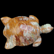 Afghan Jade hand-carved Turtle 102*67*28mm 241g in sunlight - Rocks and Things Store