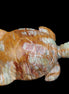 Afghan Jade hand-carved Turtle 102*67*28mm 241g in sunlight - Rocks and Things Store