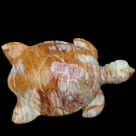 Afghan Jade hand-carved Turtle 102*67*28mm 241g in sunlight - Rocks and Things Store