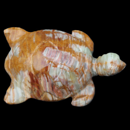Afghan Jade hand-carved Turtle 102*67*28mm 241g in sunlight - Rocks and Things Store