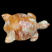 Afghan Jade hand-carved Turtle 102*67*28mm 241g in sunlight - Rocks and Things Store