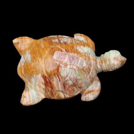 Afghan Jade hand-carved Turtle 102*67*28mm 241g in sunlight - Rocks and Things Store