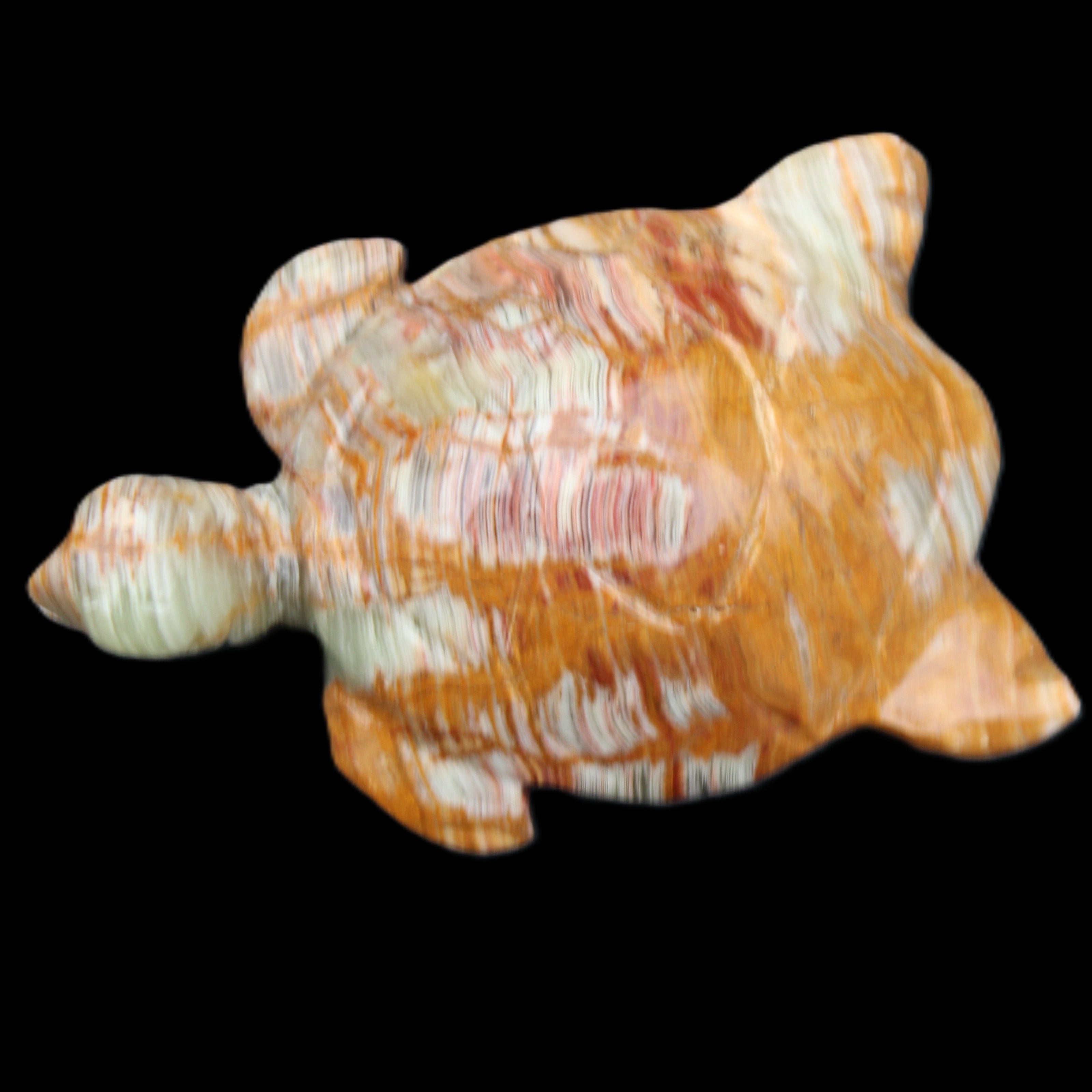 Afghan Jade hand-carved Turtle 102*67*28mm 241g in sunlight - Rocks and Things Store