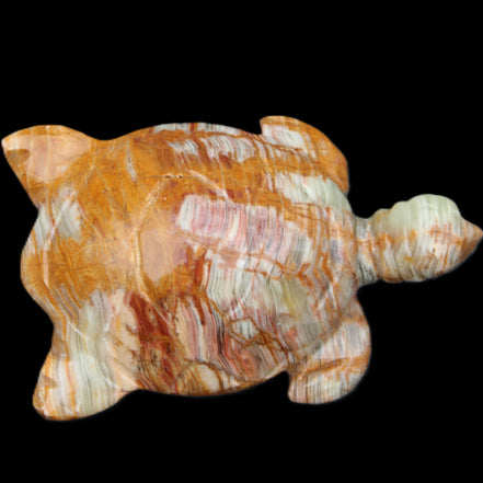 Afghan Jade hand-carved Turtle 102*67*28mm 241g in sunlight - Rocks and Things Store