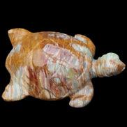 Afghan Jade hand-carved Turtle 102*67*28mm 241g in sunlight - Rocks and Things Store