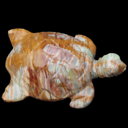Afghan Jade hand-carved Turtle 102*67*28mm 241g in sunlight - Rocks and Things Store