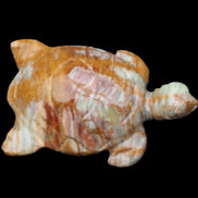 Afghan Jade hand-carved Turtle 102*67*28mm 241g in sunlight - Rocks and Things Store
