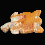 Afghan Jade hand-carved Turtle 102*67*28mm 241g in sunlight - Rocks and Things Store