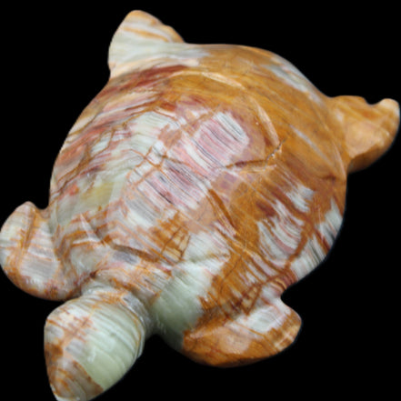 Afghan Jade hand-carved Turtle 102*67*28mm 241g in sunlight - Rocks and Things Store
