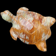 Afghan Jade hand-carved Turtle 102*67*28mm 241g in sunlight - Rocks and Things Store