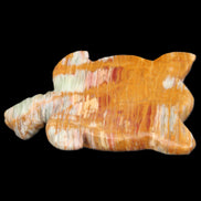 Afghan Jade hand-carved Turtle 102*67*28mm 241g in sunlight - Rocks and Things Store
