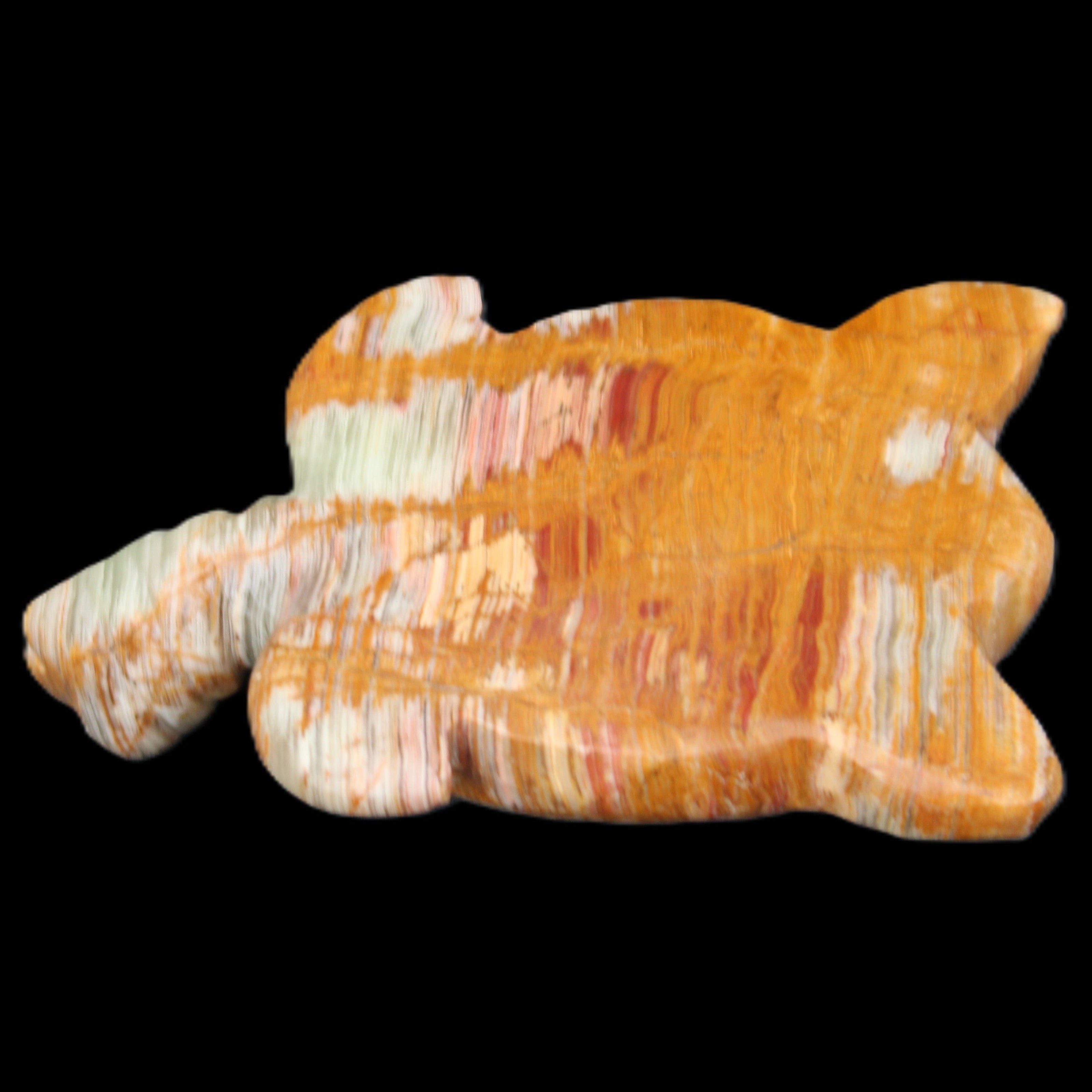 Afghan Jade hand-carved Turtle 102*67*28mm 241g in sunlight - Rocks and Things Store