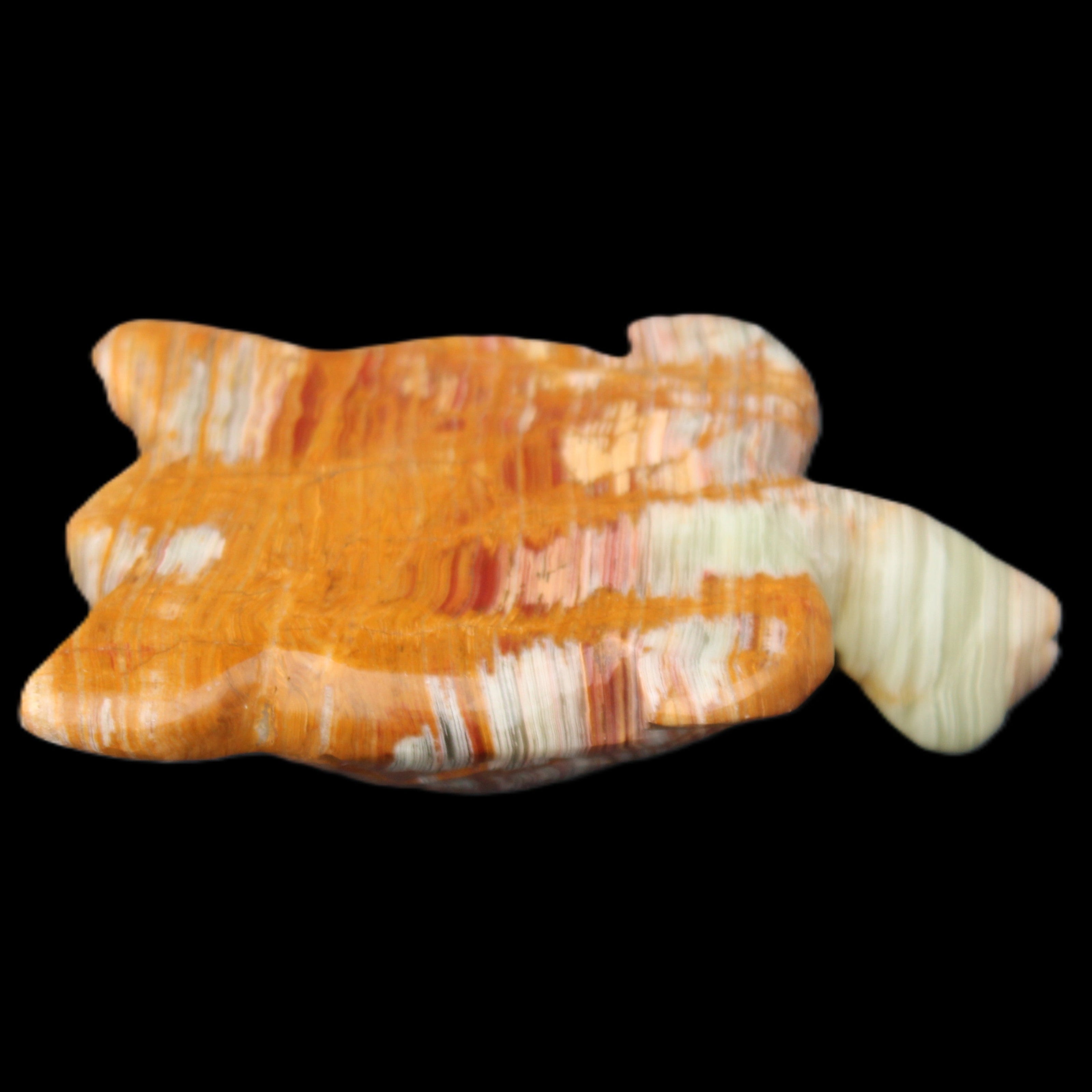 Afghan Jade hand-carved Turtle 102*67*28mm 241g in sunlight - Rocks and Things Store