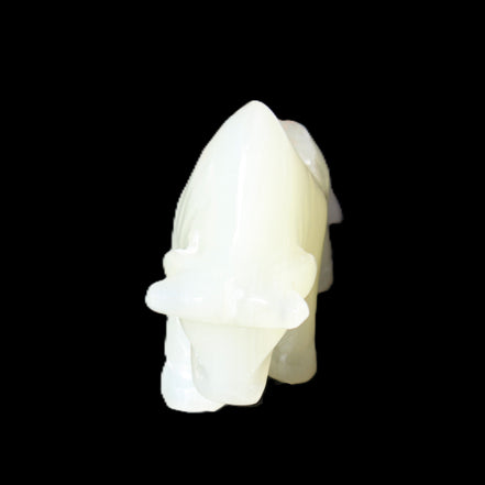 Afghan Jade hand-carved Bull 113*35*71mm 253g in sunlight - Rocks and Things Store