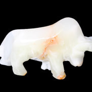 Afghan Jade hand-carved bull 115*30*68mm 216g in sunlight - Rocks and Things Store