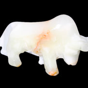 Afghan Jade hand-carved bull 115*30*68mm 216g in sunlight - Rocks and Things Store