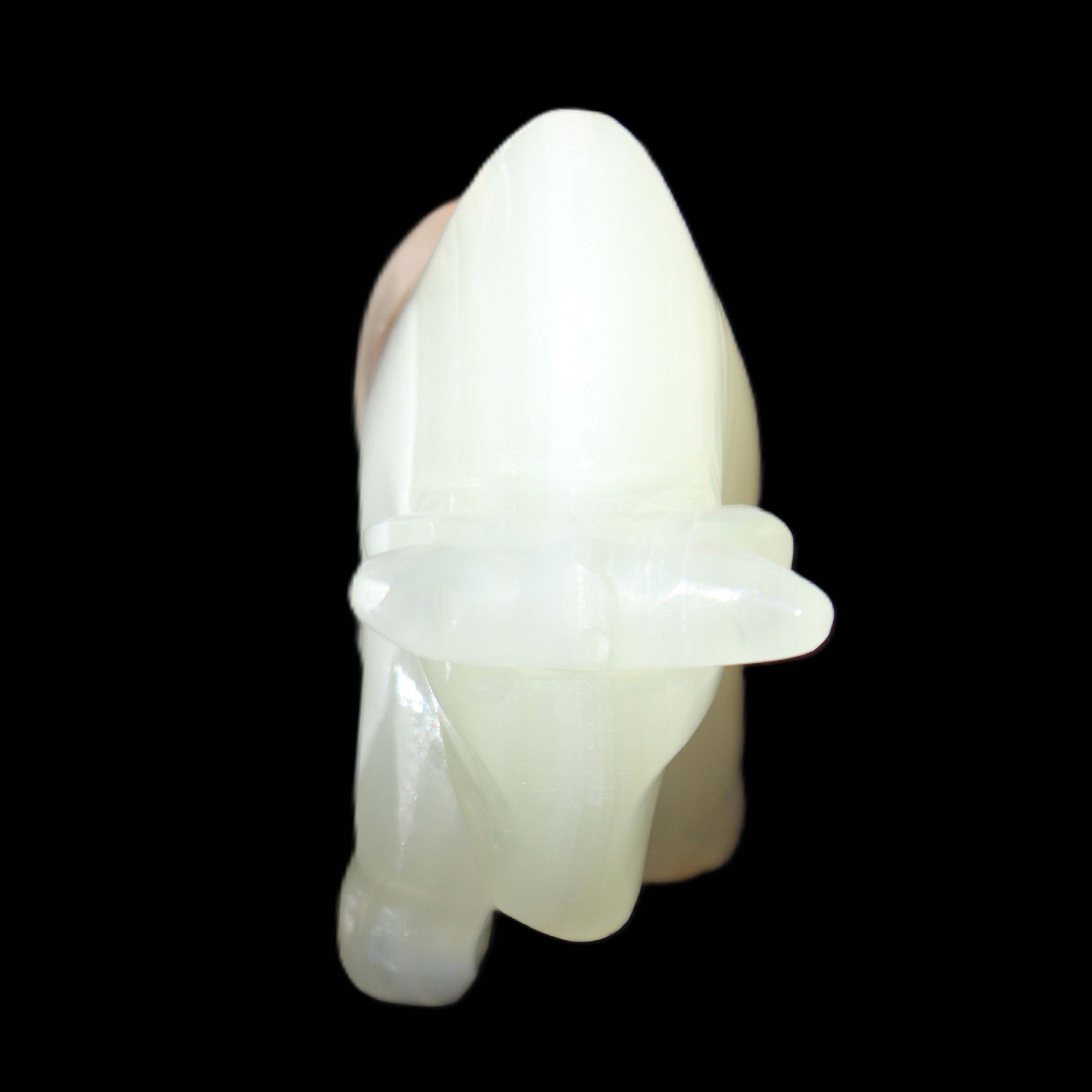 Afghan Jade hand-carved Bull 98*29*71mm 213g in sunlight - Rocks and Things Store