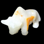 Afghan Jade hand-carved Bull 113*33*67mm 245g in sunlight - Rocks and Things Store