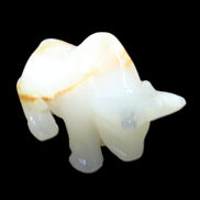 Afghan Jade hand-carved Bull 113*33*67mm 245g in sunlight - Rocks and Things Store