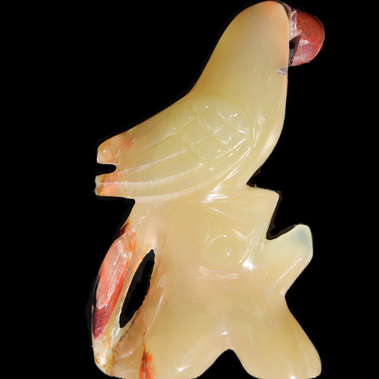 Afghan Jade hand-carved Bird 80*33*132mm 376g in sunlight - Rocks and Things Store