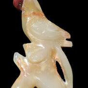 Afghan Jade hand-carved Bird 80*33*132mm 376g in sunlight - Rocks and Things Store