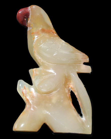 Afghan Jade hand-carved Bird 80*33*132mm 376g in sunlight - Rocks and Things Store