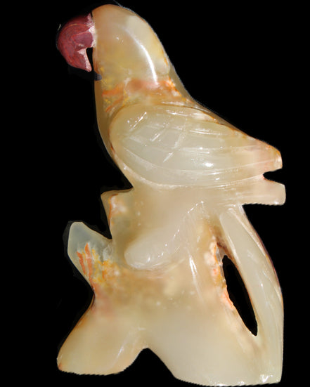 Afghan Jade hand-carved Bird 80*33*132mm 376g in sunlight - Rocks and Things Store