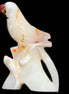 Afghan Jade hand-carved Bird 84*32*133mm 363g in sunlight - Rocks and Things Store
