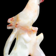 Afghan Jade hand-carved Bird 84*32*133mm 363g in sunlight - Rocks and Things Store