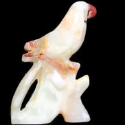 Afghan Jade hand-carved Bird 84*32*133mm 363g in sunlight - Rocks and Things Store