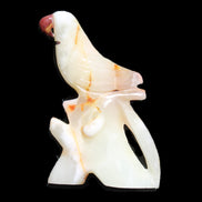 Afghan Jade hand-carved Bird 84*32*133mm 363g in sunlight - Rocks and Things Store