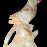 Afghan Jade hand-carved Bird 83*30*135mm 350g in sunlight - Rocks and Things Store