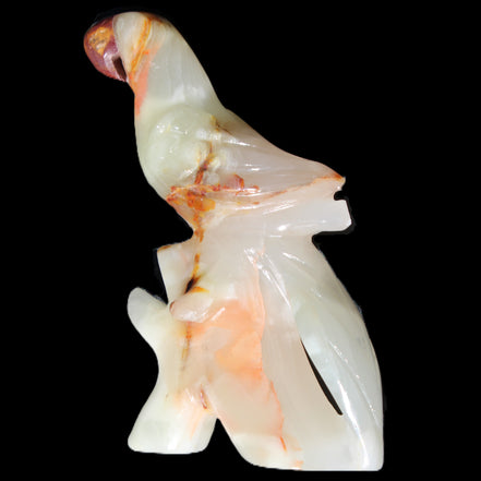 Afghan Jade hand-carved Bird 81*33*130mm 338g in sunlight - Rocks and Things Store