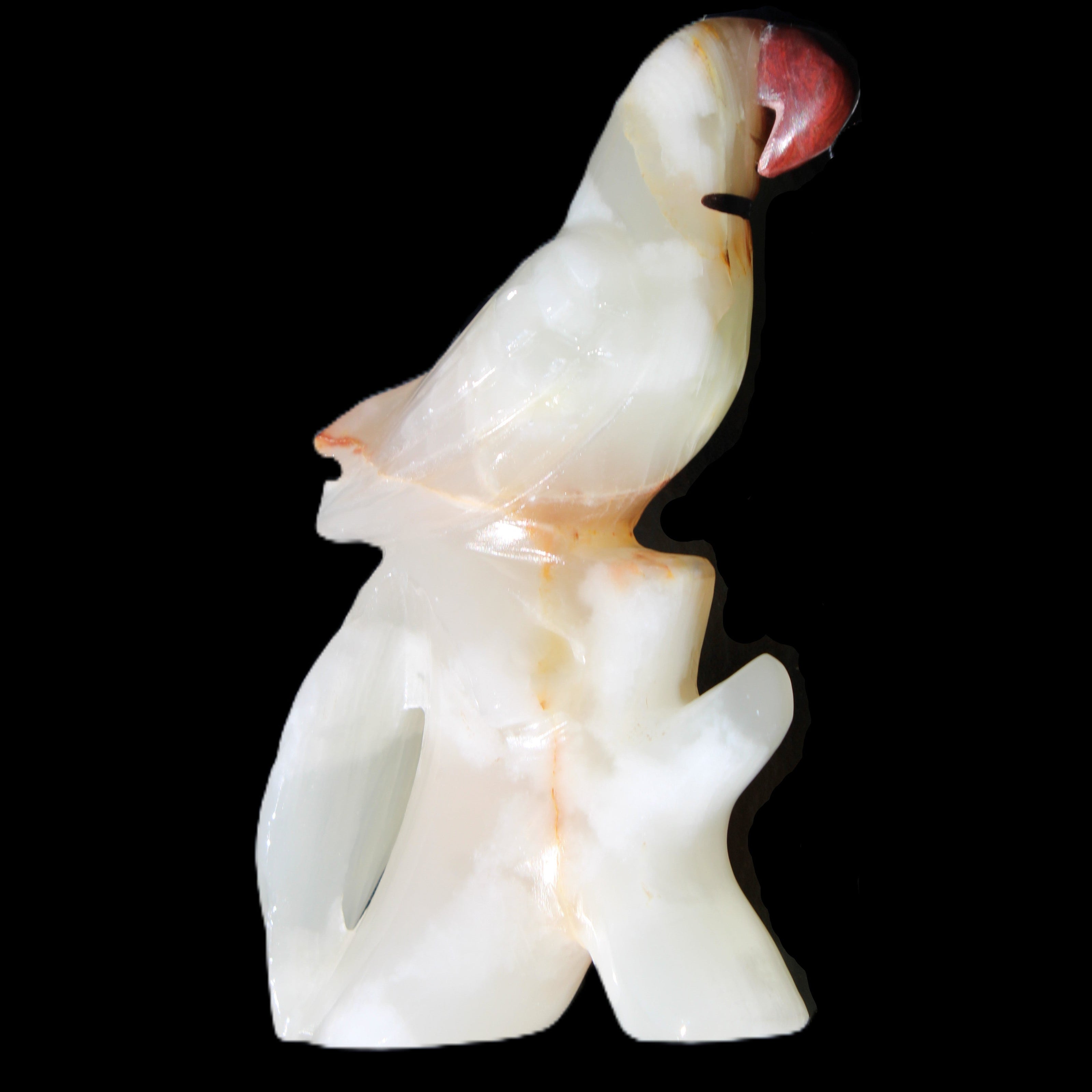 Afghan Jade hand-carved Bird 81*33*130mm 338g in sunlight - Rocks and Things Store