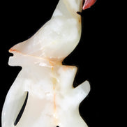 Afghan Jade hand-carved Bird 81*33*130mm 338g in sunlight - Rocks and Things Store