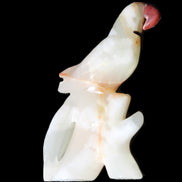 Afghan Jade hand-carved Bird 81*33*130mm 338g in sunlight - Rocks and Things Store