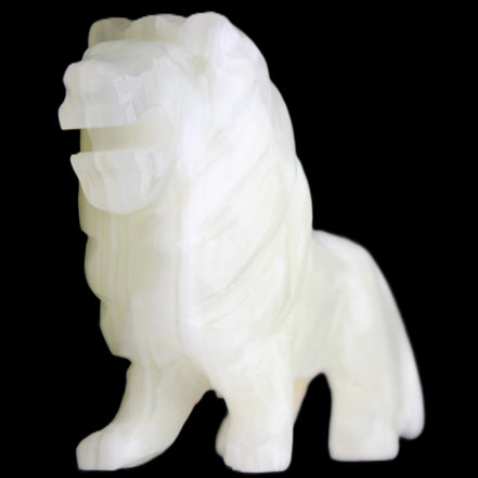 Afghan Jade hand-carved Lion 100*30*77mm 258g in sunlight - Rocks and Things Store