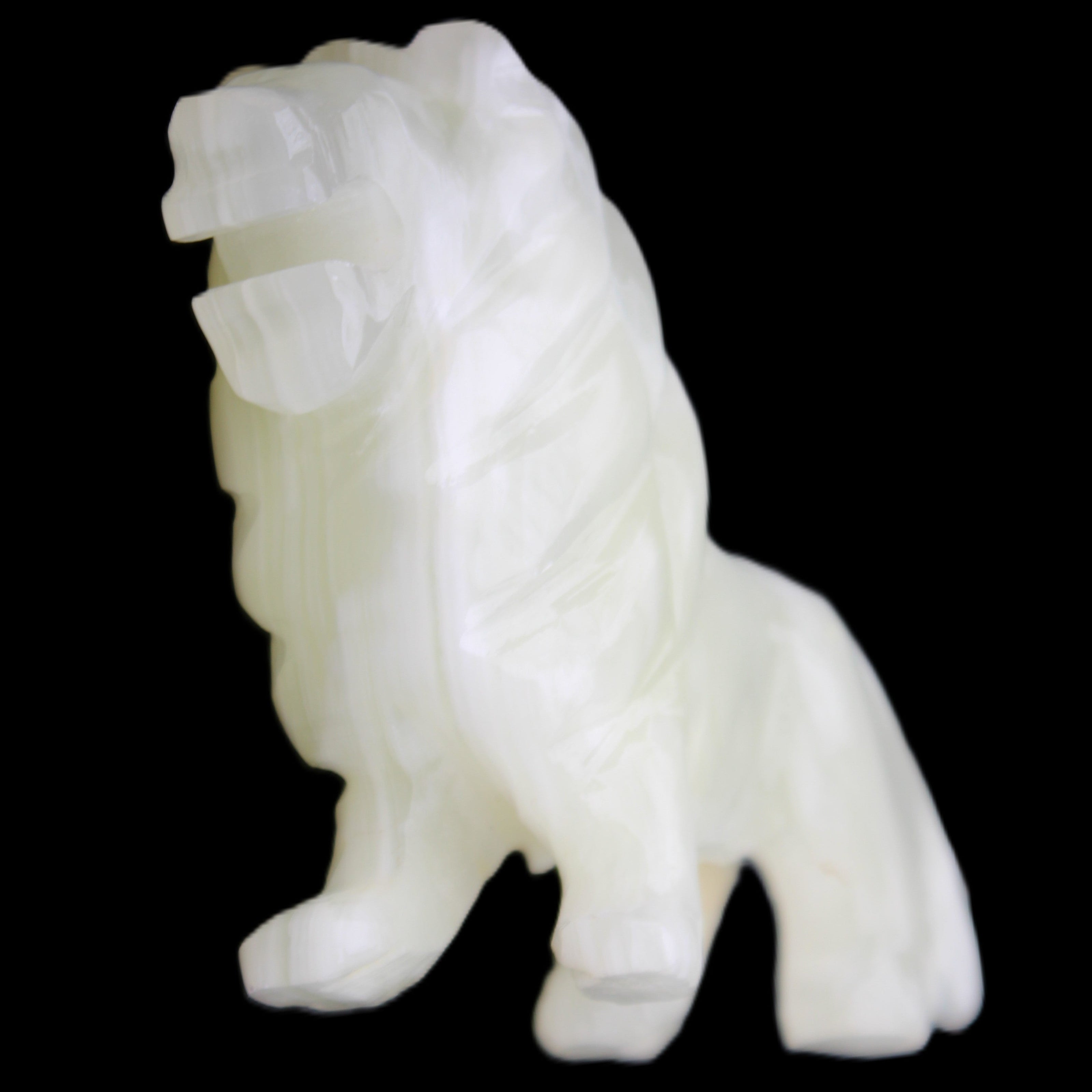 Afghan Jade hand-carved Lion 100*30*77mm 258g in sunlight - Rocks and Things Store