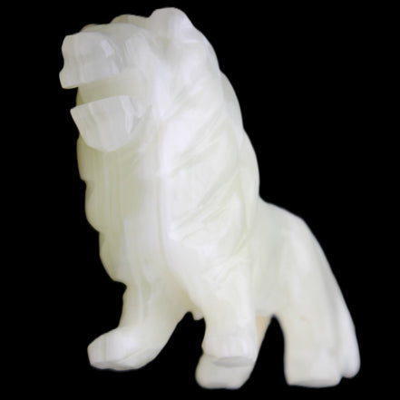 Afghan Jade hand-carved Lion 100*30*77mm 258g in sunlight - Rocks and Things Store