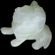 Afghan Jade hand-carved Lion 100*30*77mm 258g in sunlight - Rocks and Things Store