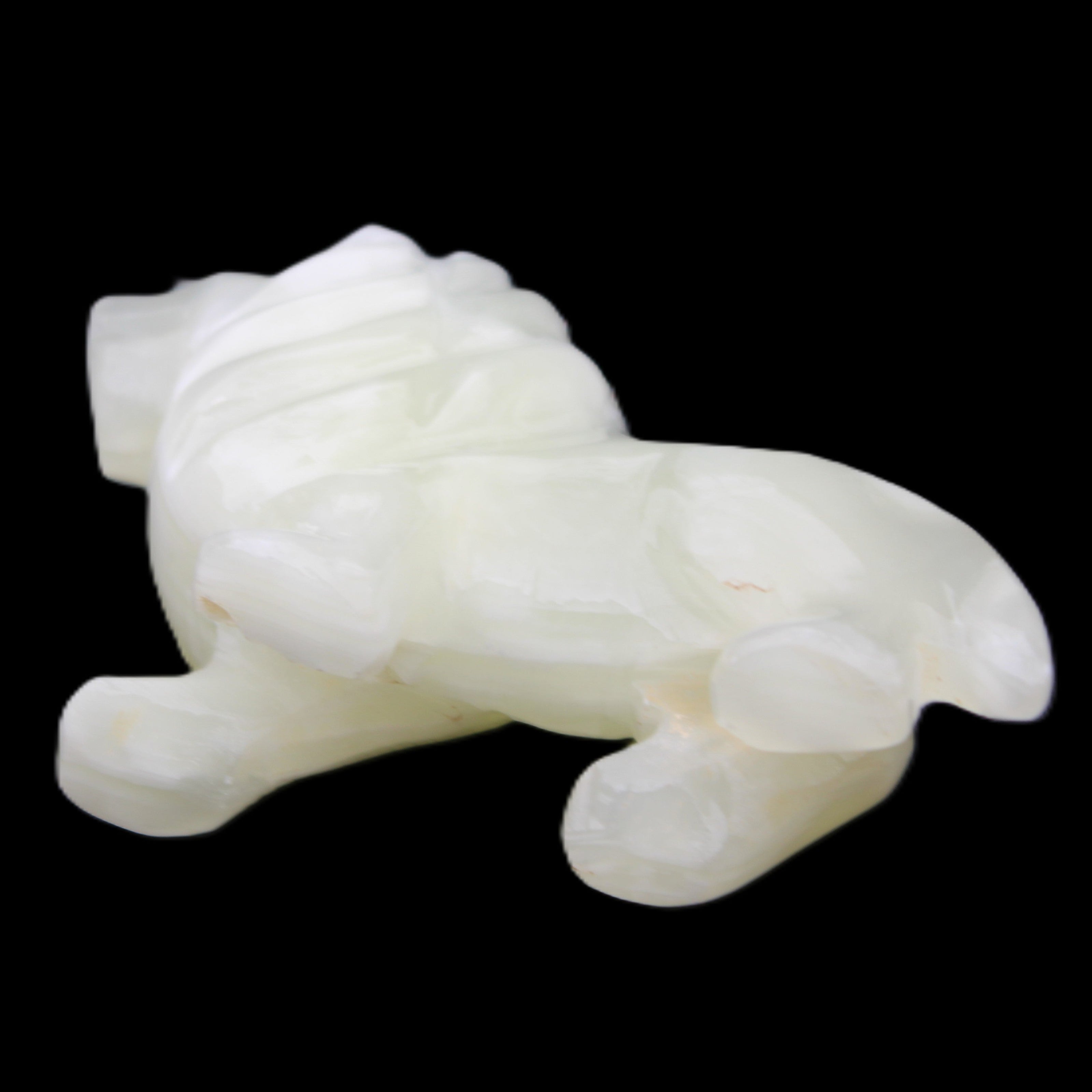Afghan Jade hand-carved Lion 100*30*77mm 258g in sunlight - Rocks and Things Store