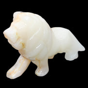 Afghan Jade hand-carved Lion 106*37*79mm 289g in sunlight - Rocks and Things Store