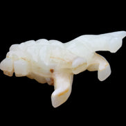 Afghan Jade hand-carved Lion 106*37*79mm 289g in sunlight - Rocks and Things Store